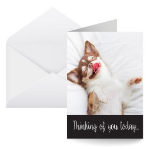 beCAUSE Greeting Cards – Thinking Of You Doggy