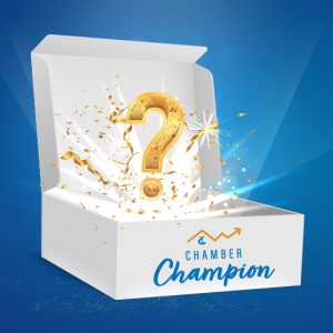 Chamber Champion Mystery Box